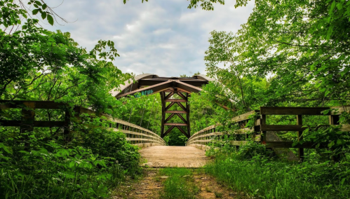 A wooden bridge surrounded by lush greenery, leading to a metal arch structure under a cloudy sky.