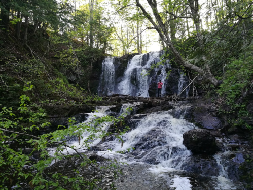 A person stands near a cascading waterfall surrounded by lush greenery and rocky terrain.