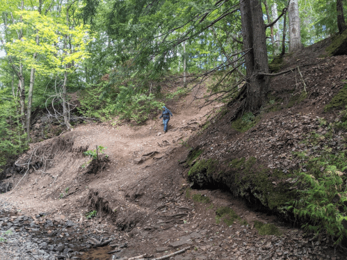 A person climbs a dirt path surrounded by trees and greenery near a creek.