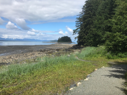 A serene coastal scene with a rocky shore, lush greenery, and distant islands under a partly cloudy sky.