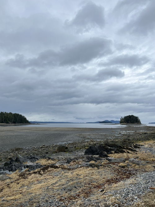 A cloudy sky over a calm shoreline with rocky terrain and sparse vegetation, leading to distant islands on the horizon.