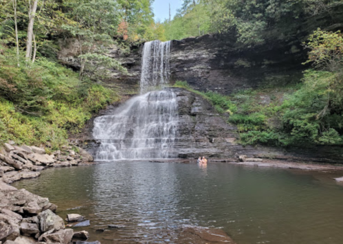 A serene waterfall cascades over rocky cliffs into a calm pool, surrounded by lush greenery and trees.