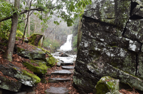 A rocky path leads to a waterfall, surrounded by lush greenery and moss-covered stones.