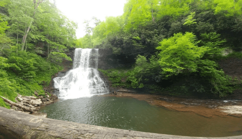 A serene waterfall cascades into a calm pool, surrounded by lush green trees and rocky terrain.