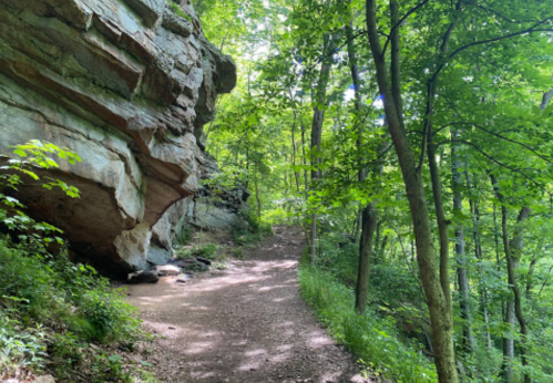A winding dirt path through a lush green forest, flanked by rocky cliffs and tall trees.