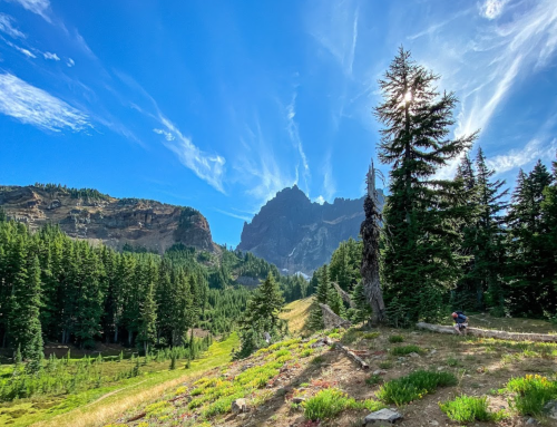 A scenic mountain landscape with tall trees, vibrant greenery, and a clear blue sky with wispy clouds.