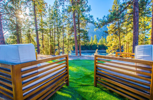 Two wooden lounge chairs face a serene river, surrounded by tall pine trees and bright sunlight.