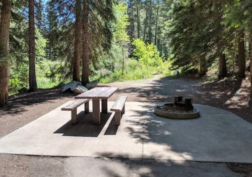 A picnic table and fire pit in a wooded area, surrounded by trees and greenery.