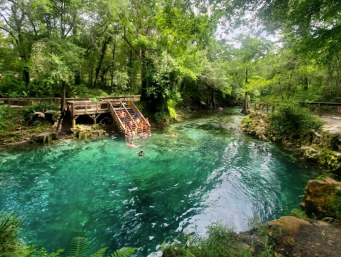A serene natural spring with clear turquoise water, surrounded by lush greenery and a wooden staircase leading to the water.