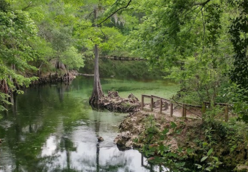 A serene river scene surrounded by lush greenery and trees, with a wooden path along the water's edge.