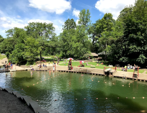 A sunny park scene with people swimming and relaxing by a green lake, surrounded by trees and a wooden dock.