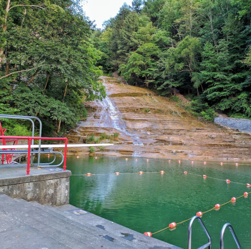 A serene waterfall cascading down rocky steps into a green pool, surrounded by lush trees and a red railing.