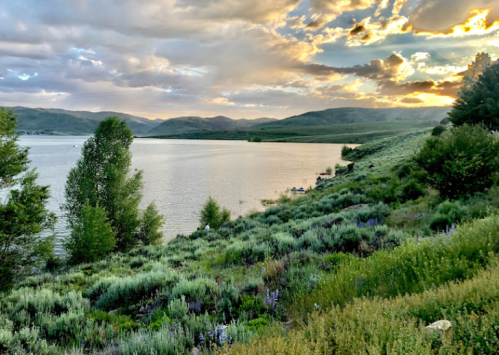 A serene lakeside view at sunset, with lush greenery and mountains in the background under a colorful sky.