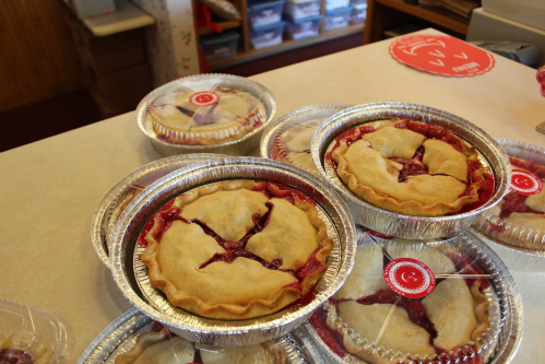 A display of freshly baked pies in aluminum tins, with a golden crust and fruit filling, on a countertop.