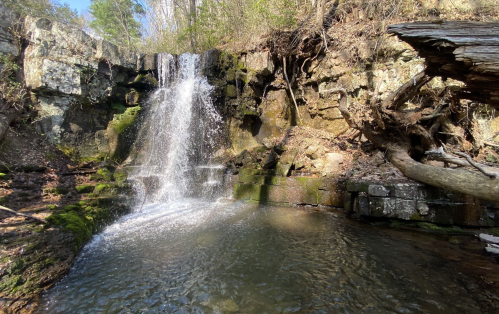 A serene waterfall cascades over rocky terrain into a calm pool, surrounded by lush greenery and sunlight.