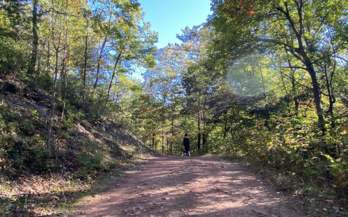 A person walks along a dirt path surrounded by trees and greenery on a sunny day.