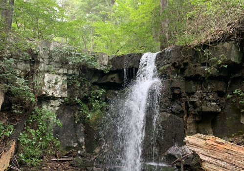 A serene waterfall cascading over rocky terrain, surrounded by lush green trees and foliage.