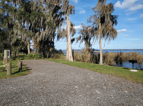 A gravel path leads to a scenic view of a lake, framed by tall trees and lush greenery under a clear blue sky.