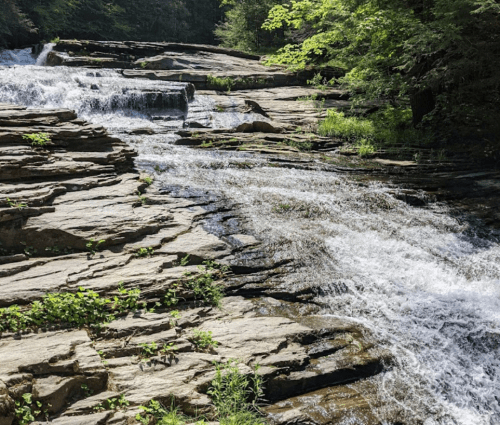 A serene waterfall cascading over rocky terrain, surrounded by lush greenery and sunlight filtering through the trees.