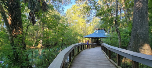 A wooden boardwalk leads through lush greenery to a gazebo by a serene waterway.