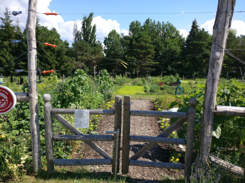A wooden gate opens to a lush garden with rows of plants and trees under a blue sky with scattered clouds.