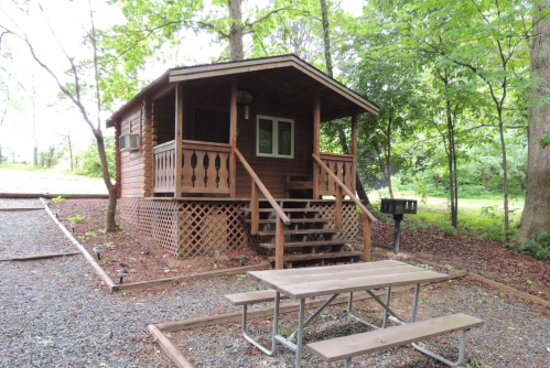A wooden cabin surrounded by trees, featuring a porch, steps, and a picnic table in front on a gravel area.
