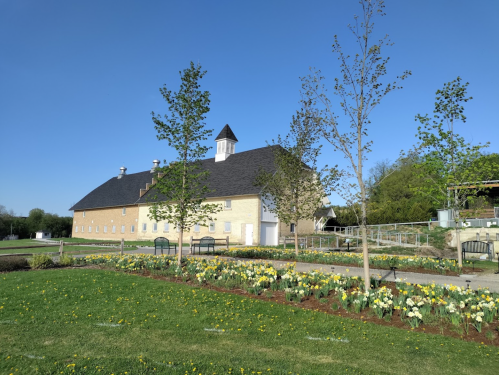 A sunny day at a farm with a large barn, green grass, and colorful flower beds in the foreground.