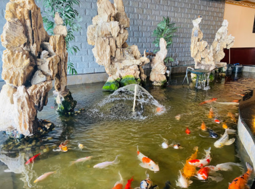 A tranquil pond with colorful koi fish, surrounded by decorative rocks and a small fountain.