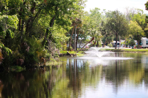 A serene pond surrounded by lush greenery, featuring a fountain and reflections of trees and homes in the water.
