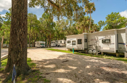 A serene RV park with several parked trailers surrounded by trees and a clear blue sky.