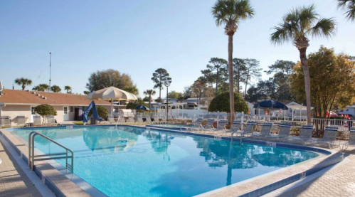 A clear blue pool surrounded by lounge chairs and palm trees, with a sunny sky in the background.