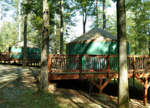 Two green yurts on wooden decks surrounded by trees in a forested area.