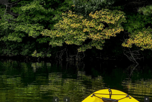 A yellow kayak floats on calm water, reflecting lush green trees along the shore.
