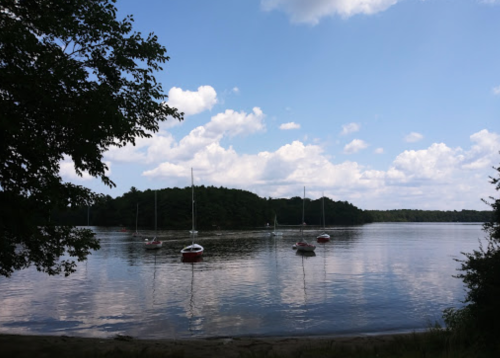 A serene lake scene with sailboats anchored, surrounded by trees and a blue sky with fluffy clouds.