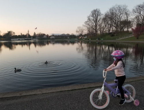 A child on a bike watches ducks swimming in a calm lake at sunset, with trees and a flag in the background.