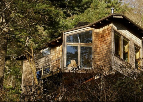 A rustic wooden cabin nestled among trees, featuring large windows and a unique architectural design.