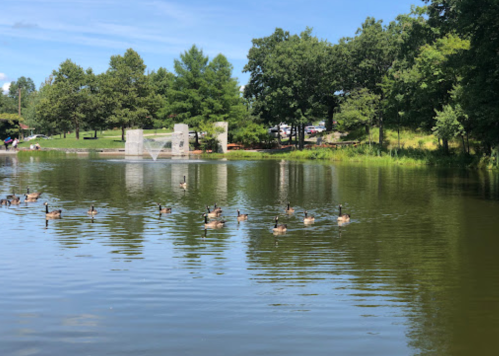 A serene pond with ducks swimming, surrounded by trees and a stone structure in the background under a clear blue sky.