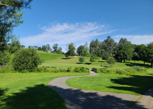 A winding path through a lush green park with trees and a clear blue sky in the background.