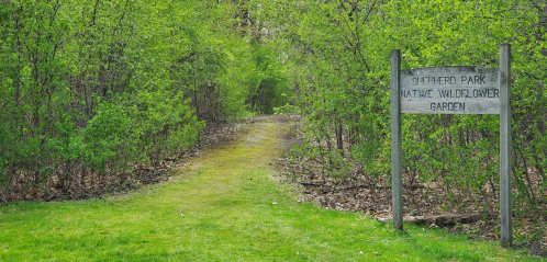A path leads into a lush green area with a sign for Shepherd Park Nature Wildflower Garden.