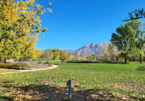 A sunny park scene with green grass, colorful autumn trees, and mountains in the background under a clear blue sky.