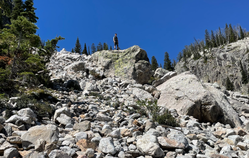 A person stands on a rocky outcrop surrounded by boulders and trees under a clear blue sky.