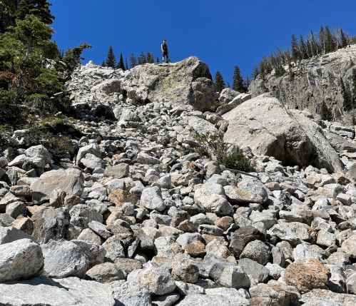 A person stands atop a rocky slope under a clear blue sky, surrounded by trees and rugged mountain terrain.