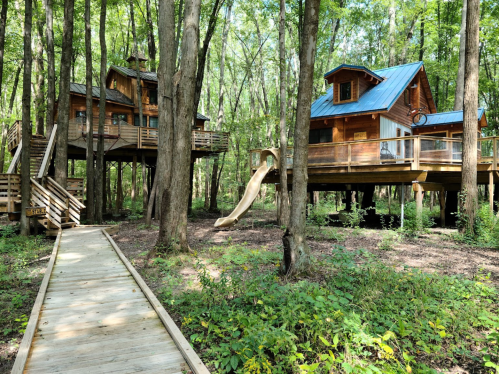 Two treehouses connected by a wooden walkway, surrounded by lush green trees, with a slide on one of the decks.