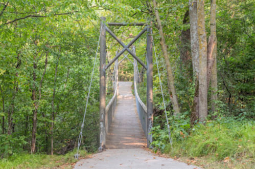 A wooden suspension bridge surrounded by lush green trees and foliage, leading into a serene forest path.