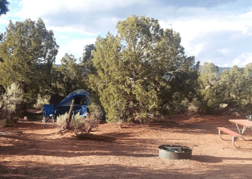A campsite with a blue tent, surrounded by trees and shrubs, featuring a picnic table and a fire pit.