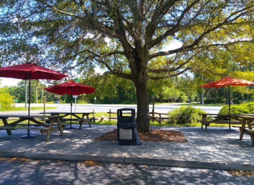 A shaded outdoor seating area with picnic tables and red umbrellas under a large tree, near a road.