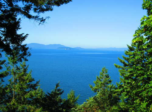 A serene view of a blue ocean framed by lush green trees and distant mountains under a clear blue sky.