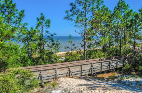 A wooden boardwalk leads through lush greenery to a serene beach and calm ocean under a clear blue sky.