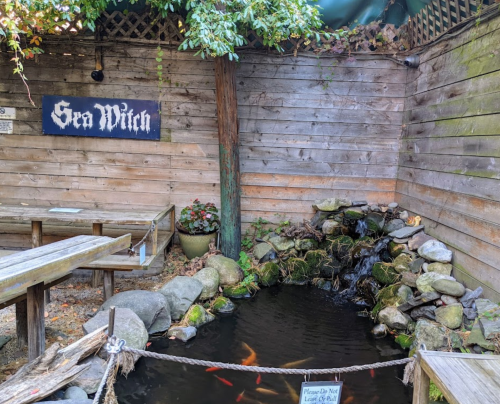 A serene outdoor space featuring a pond with koi fish, surrounded by rocks and wooden seating, labeled "Sea Witch."