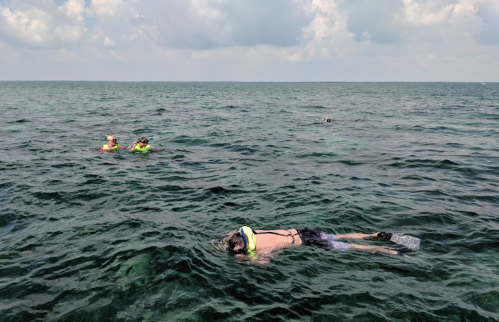 Four people in life vests swimming in clear water under a partly cloudy sky.